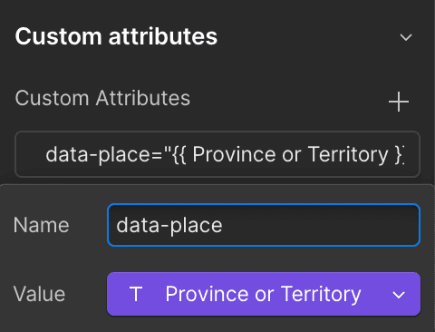 Custom attribute